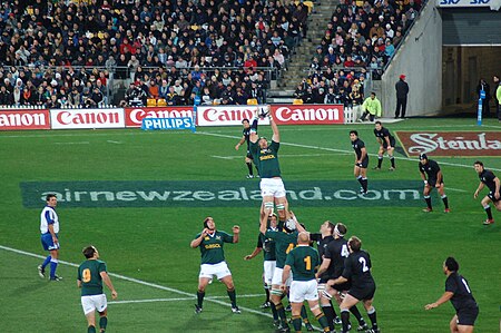 9080bet Rugby